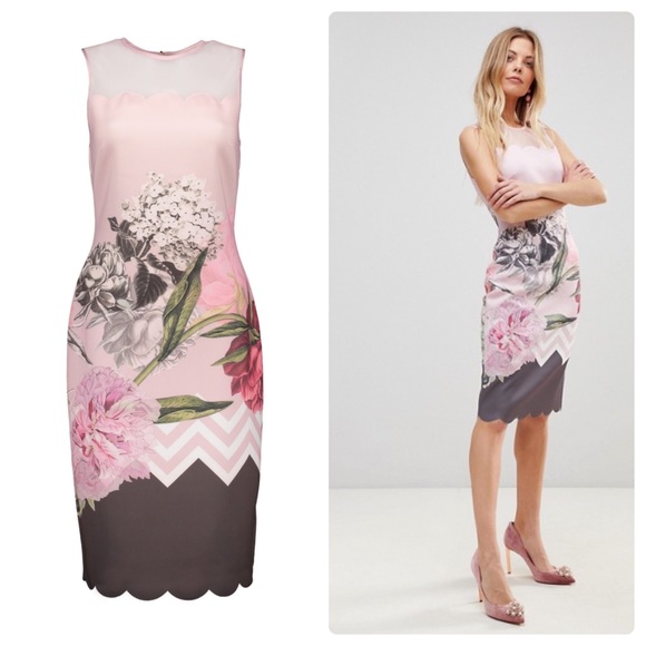 Ted Baker Palace Gardens Scalloped Sheath Dress - Picture 3 of 6